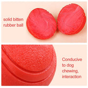 Bite Resistant Rubber Dog Ball Toy