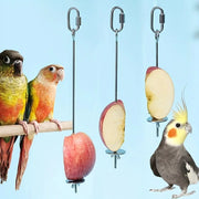 Stainless Bird Fruit Feeding Fork