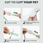 USB Rechargeable LED Dog Collar