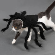 Spider Halloween Costume For Cats Dogs