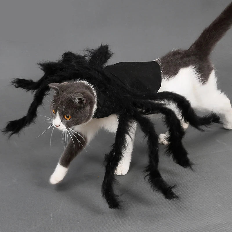 Spider Halloween Costume For Cats Dogs