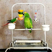 Stainless Bird Fruit Feeding Fork