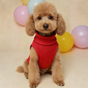 Lightweight Warm Sweater For Outdoor Dogs