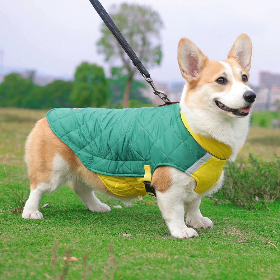 Waterproof Padded Vest For Winter Walks