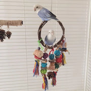 Colorful Parrot Biting Toy Set