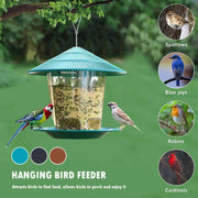 Hanging Peanut Seed Bird Feeder