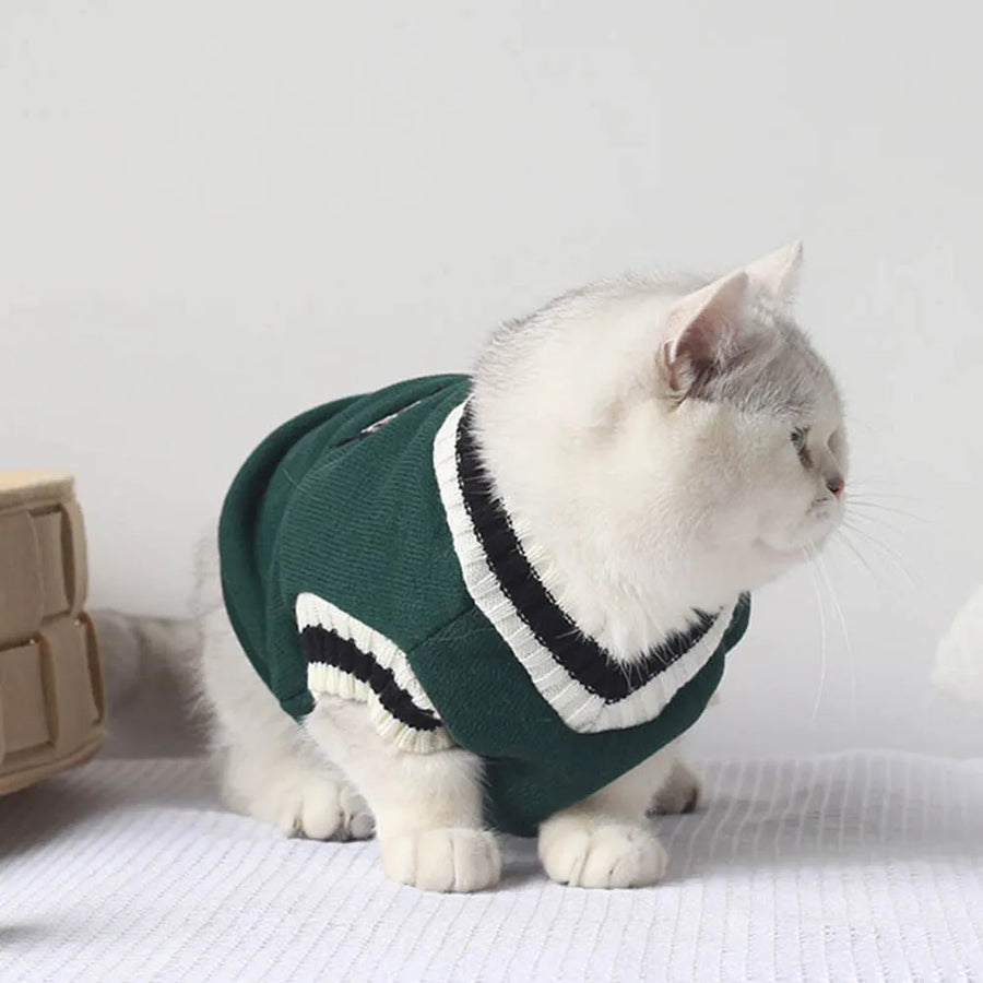 Collegiate Sweater Vest For Cats Dogs