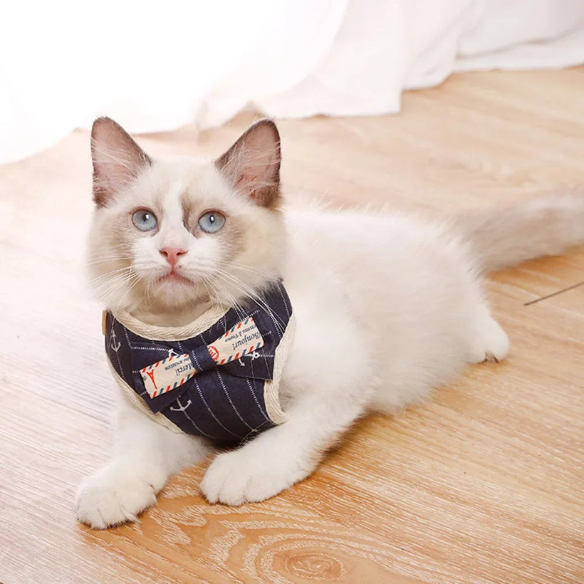 Nylon Mesh Harness Leash Set