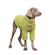 Striped Turtleneck Sweater For Medium Dogs