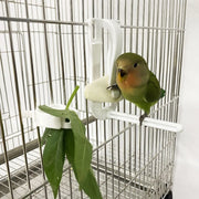 Parrot Fruit Vegetable Holder Clip