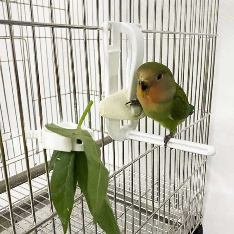 Parrot Fruit Vegetable Holder Clip