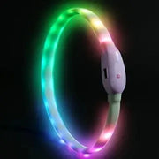 USB Rechargeable LED Dog Collar