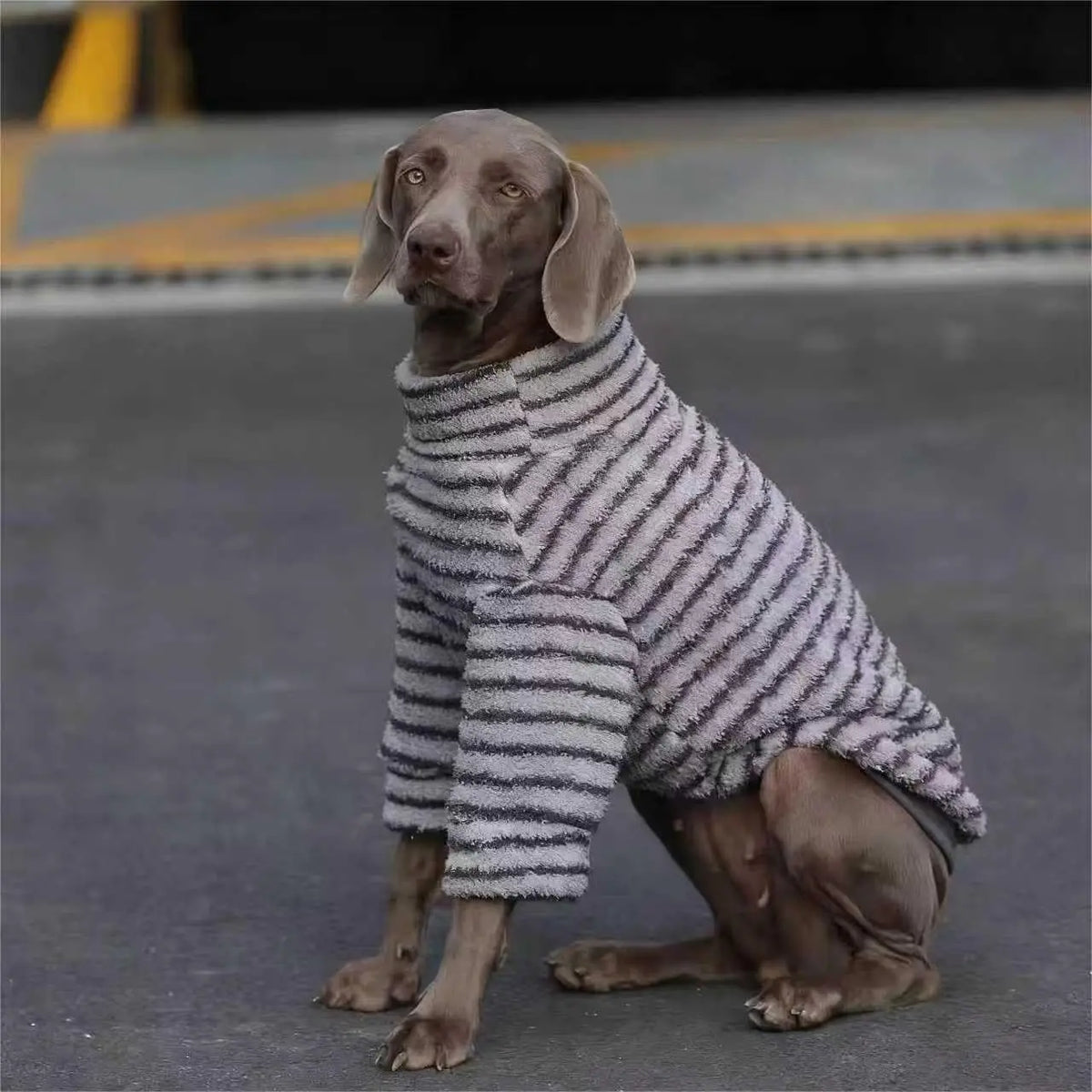 Striped Turtleneck Sweater For Medium Dogs