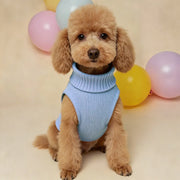 Lightweight Warm Sweater For Outdoor Dogs